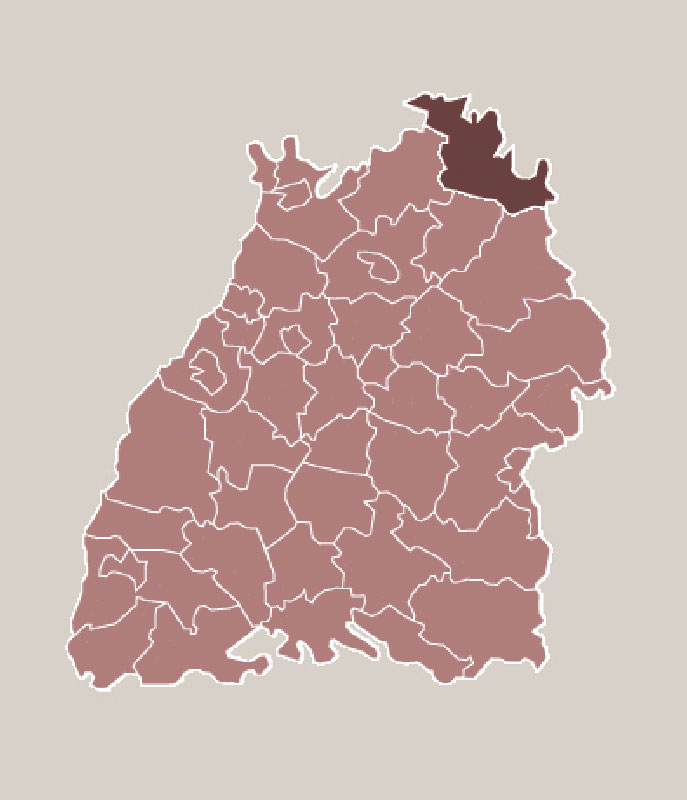 MainTauberKreis Schlösser. Burgen. Ruinen.