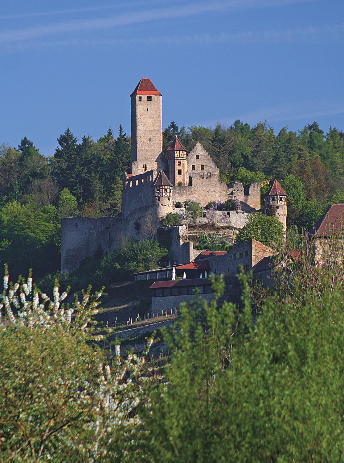 Burg Hornberg (Neckarzimmern) im Neckar-Odenwald-Kreis