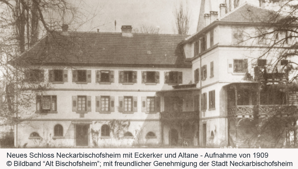 Neues Schloss Neckarbischofsheim (Neues Steinhaus) im Rhein-Neckar-Kreis