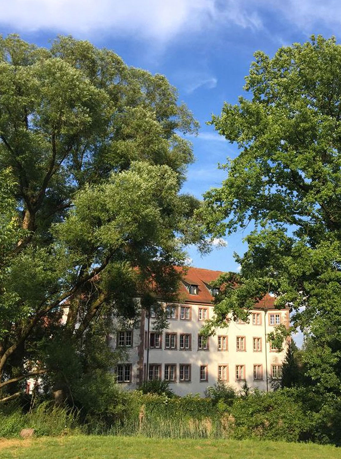 Schloss Lohrbach im Neckar-Odenwald-Kreis