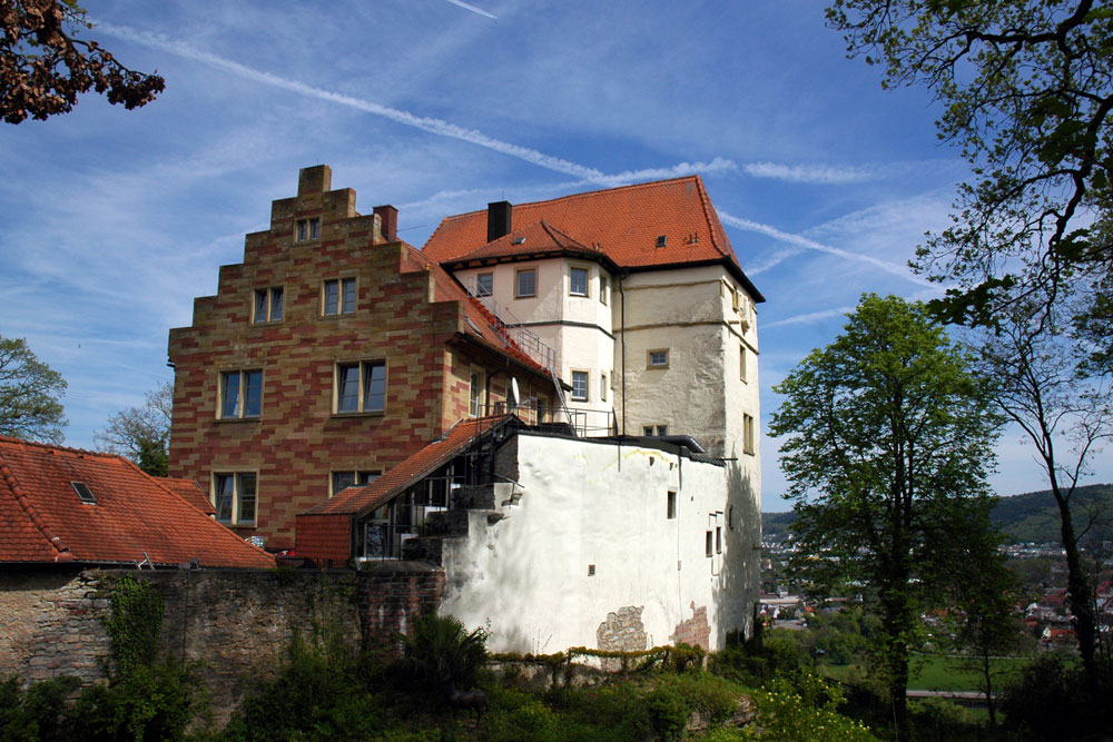 Schloss Neuburg (Hohinrot, Hohinburg, Hohonrot, Mettlenburg)(Baden) im Neckar-Odenwald-Kreis