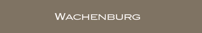 Überschrift Wachenburg im Rhein-Neckar-Kreis