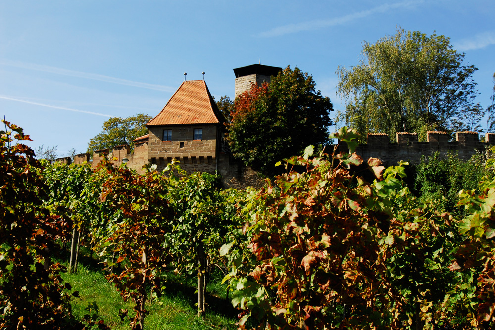 Burg Hohenbeilstein im Landkreis Heilbronn