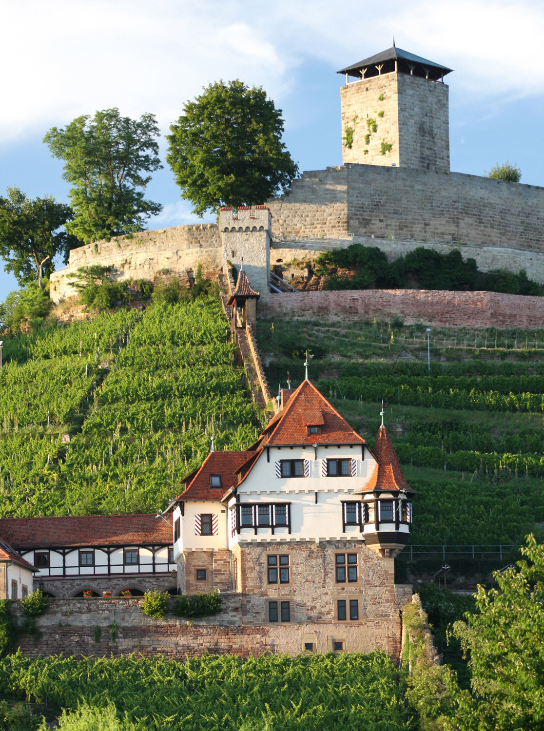 Burg Hohenbeilstein im Landkreis Heilbronn