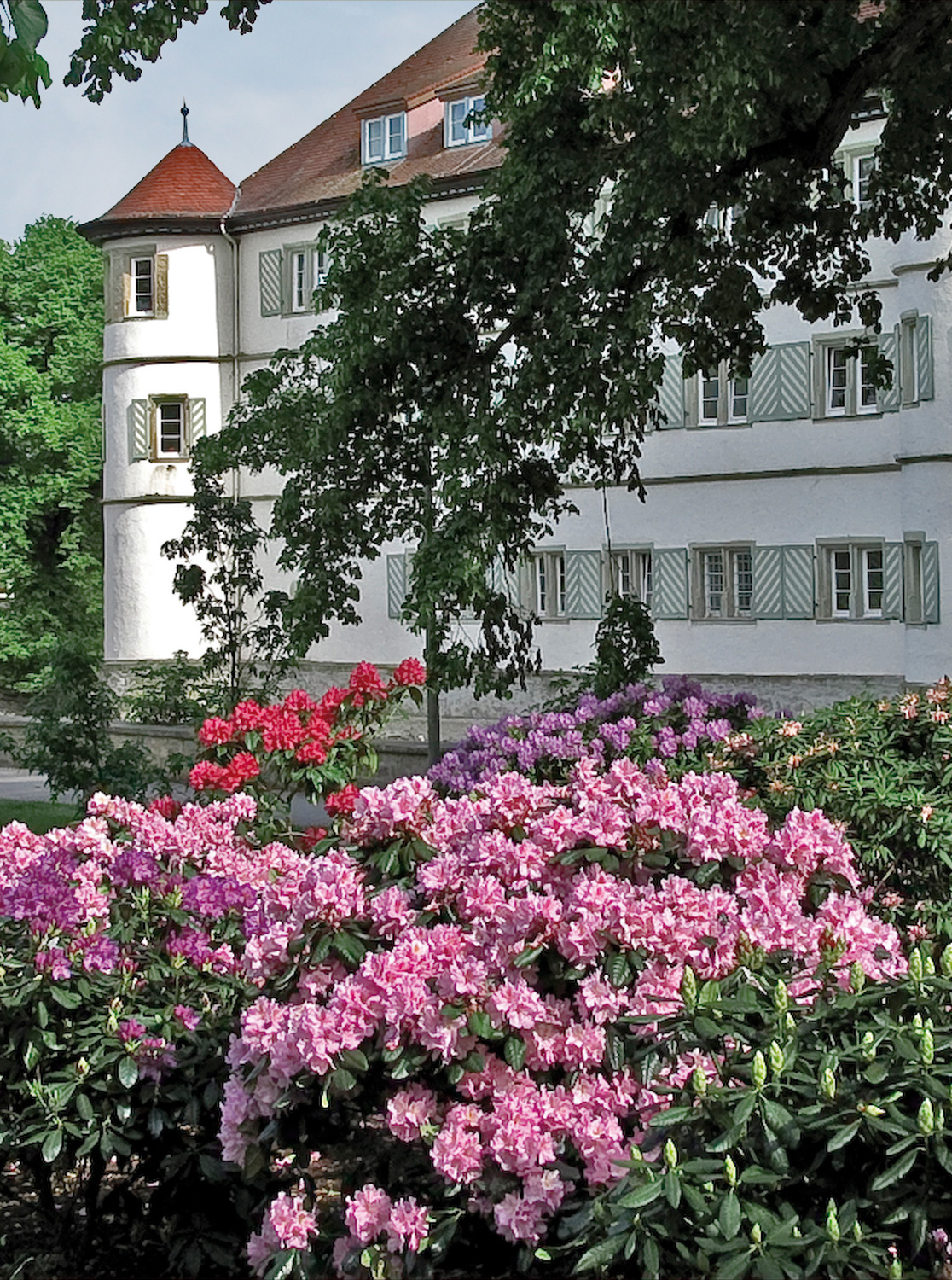 Schloss Rappenau (Bad) (Wasserschloss Rappenau) im Landkreis Heilbronn