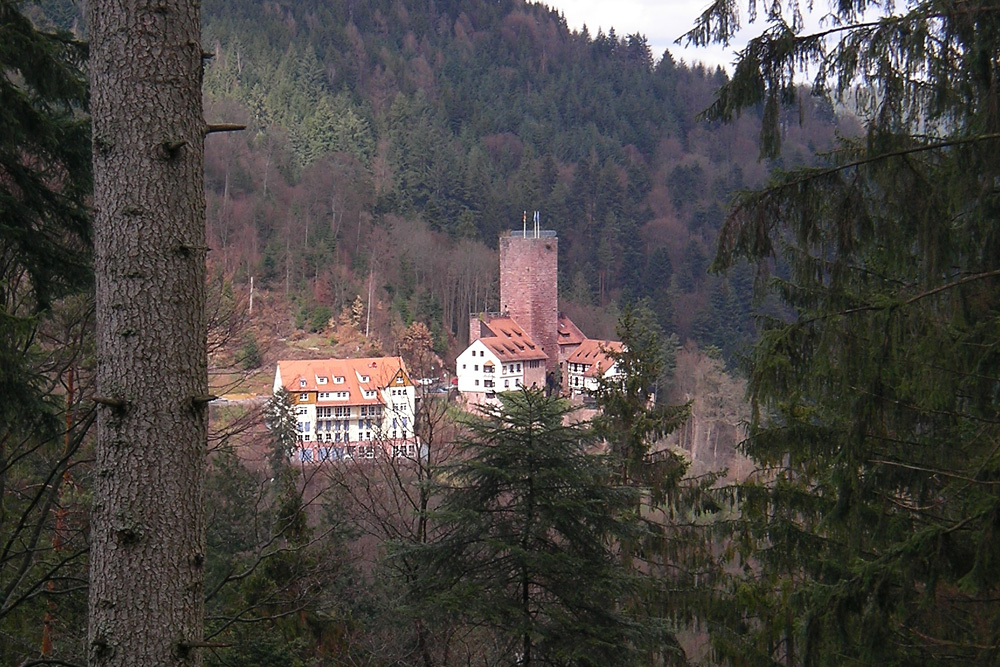 Burg Liebenzell im Landkreis Calw