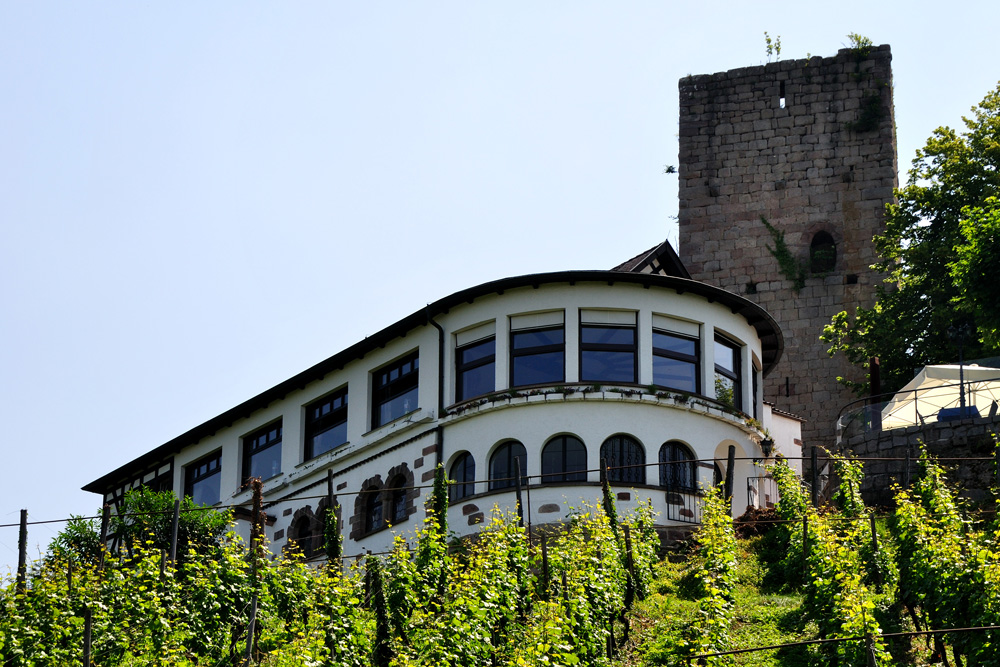Burg Windeck (Bühl) (Burgruine Alt-Windeck) im Landkreis Rastatt