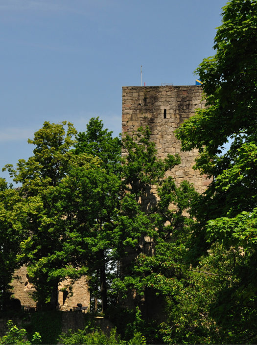 Burg Windeck (Bühl) - Schlösser. Burgen. Ruinen.