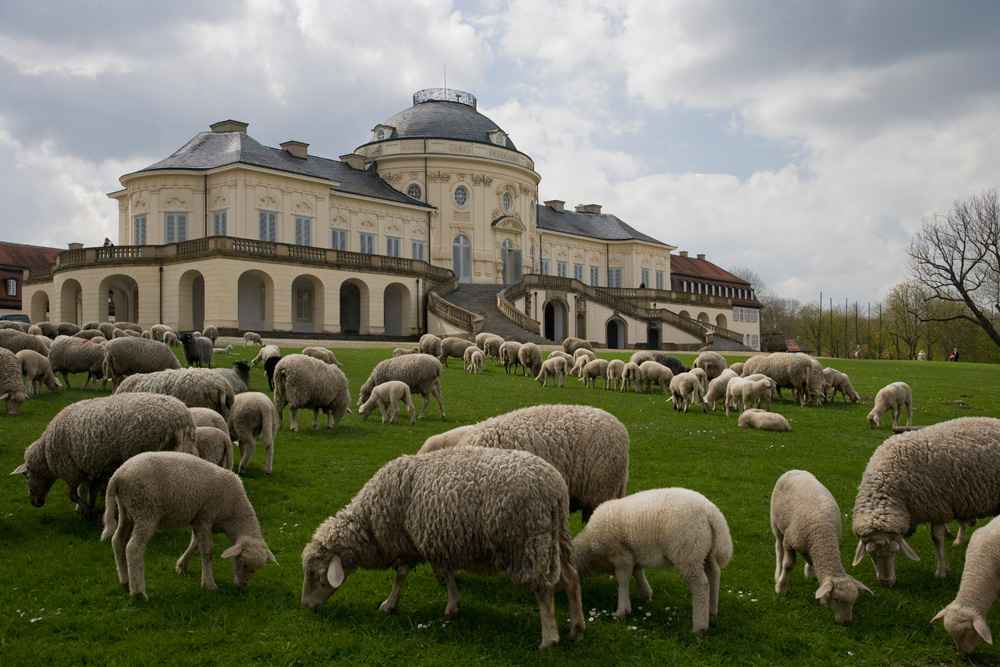 Schloss Solitude in der Landeshauptstadt Stuttgart