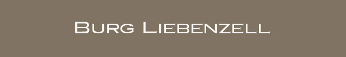 Burg Liebenzell im Landkreis Calw