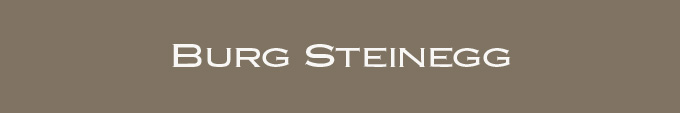Überschrift Burg Steinegg im Enzkreis