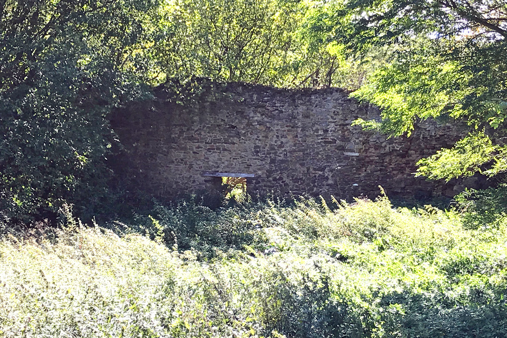 Burg Hohenalfingen im Ostalbkreis