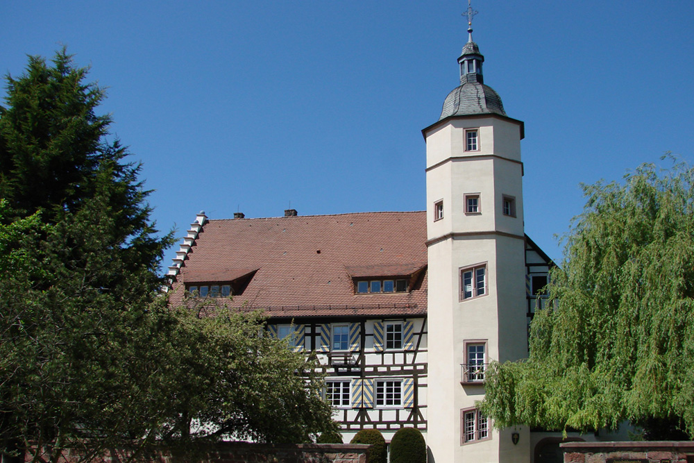 Niefernburg (Nieferner Schloss, Untere Burg) im Enzkreis