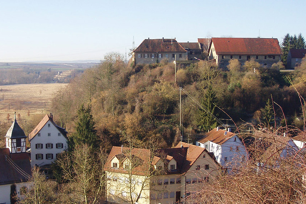 Neippergsches Schloss Klingenberg (Burg Klingenberg) in Heilbronn-Klingenberg