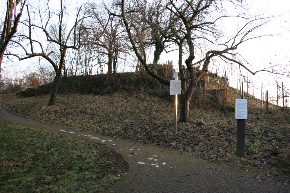 Burg Freienstein (Münster) im Stadtkreis Stuttgart