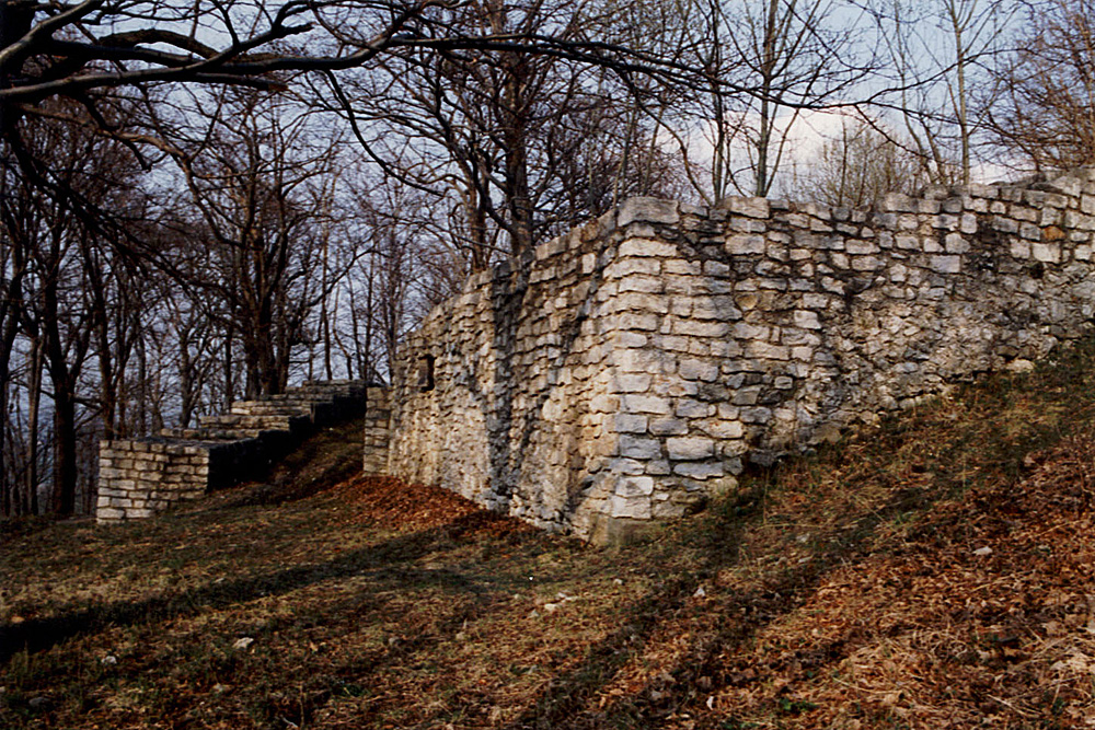 Burg Hahnenkamm (Bissingen an der Teck) (Bürge) im Landkreis Esslingen