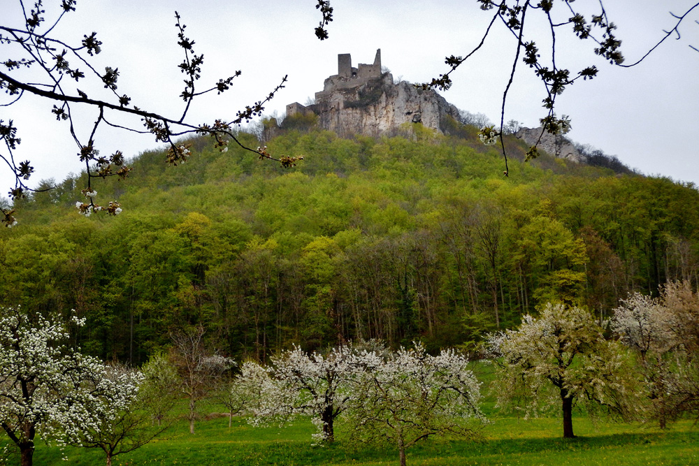 Ruine Reußenstein im Landkreis Esslingen