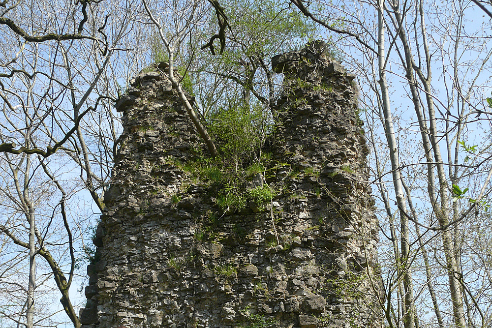 Bebenburg (Bemburg) im Landkreis Schwäbisch Hall