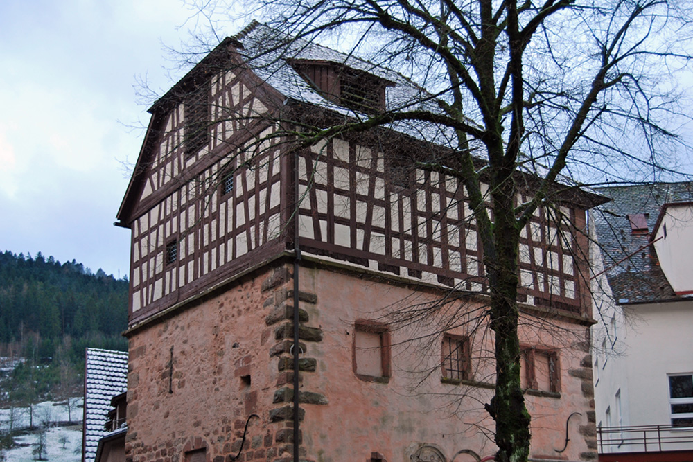 Burg Alpirsbach (Alte Burg, Untere Burg) im Landkreis Freudenstadt