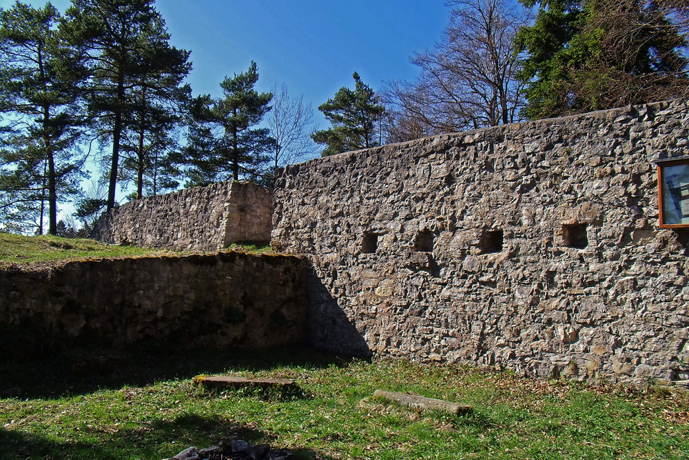 Burg Waseneck (Wasseneck) im Landkreis Rottweil