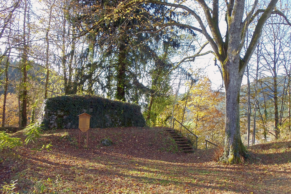 Burg Schiltach (Landsehr, Hohe Landesehr) im Landkreis Rottweil