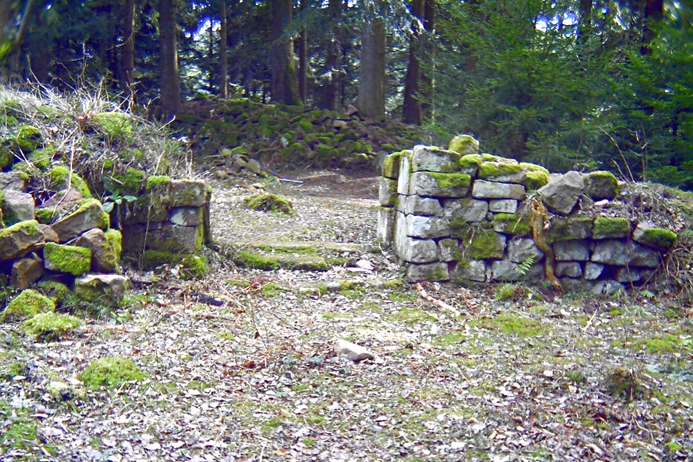 Ruine Willenburg (Schlössle) im Landkreis Rottweil