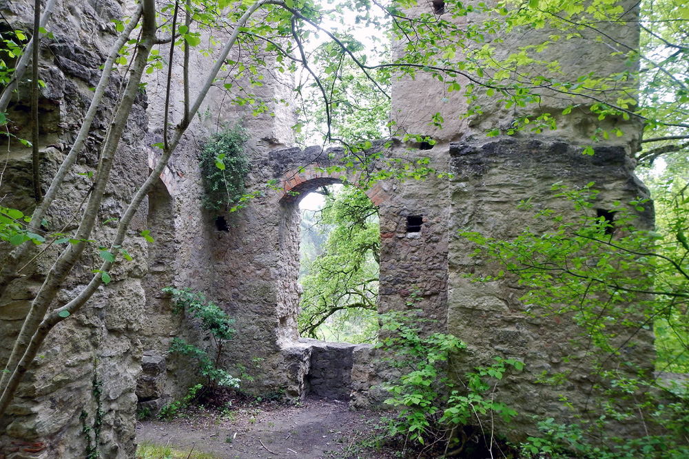 Neckarburg im Landkreis Rottweil
