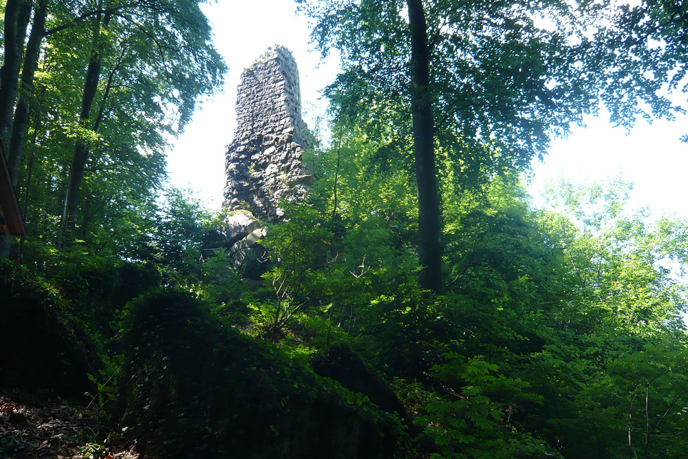 Burg Hohenrod (Sasbachwalden) (Hohenrode, Brigittenschloss) im Ortenaukreis