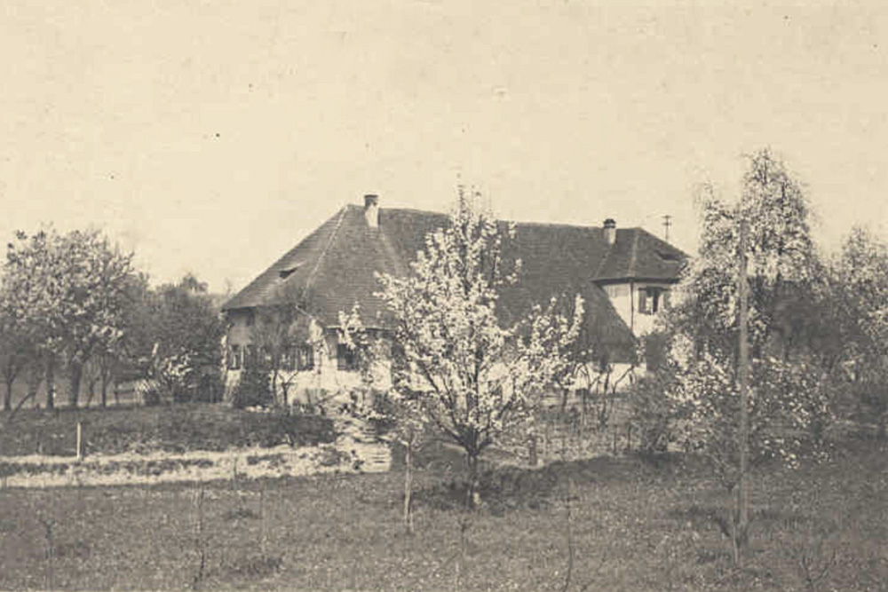 Rieshof Fessenbach (Schloss Seebach, Seebacher Schlössle, Schloss Fessenbach, Schlössle) im Ortenaukreis