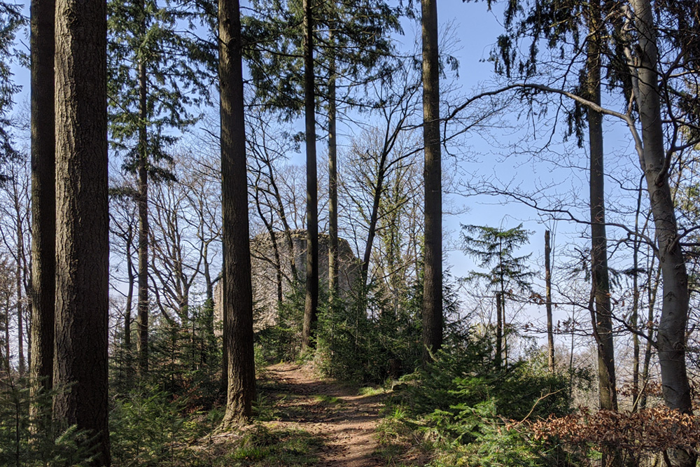 Burg Neuenfels im Landkreis Breisgau-Hochschwarzwald