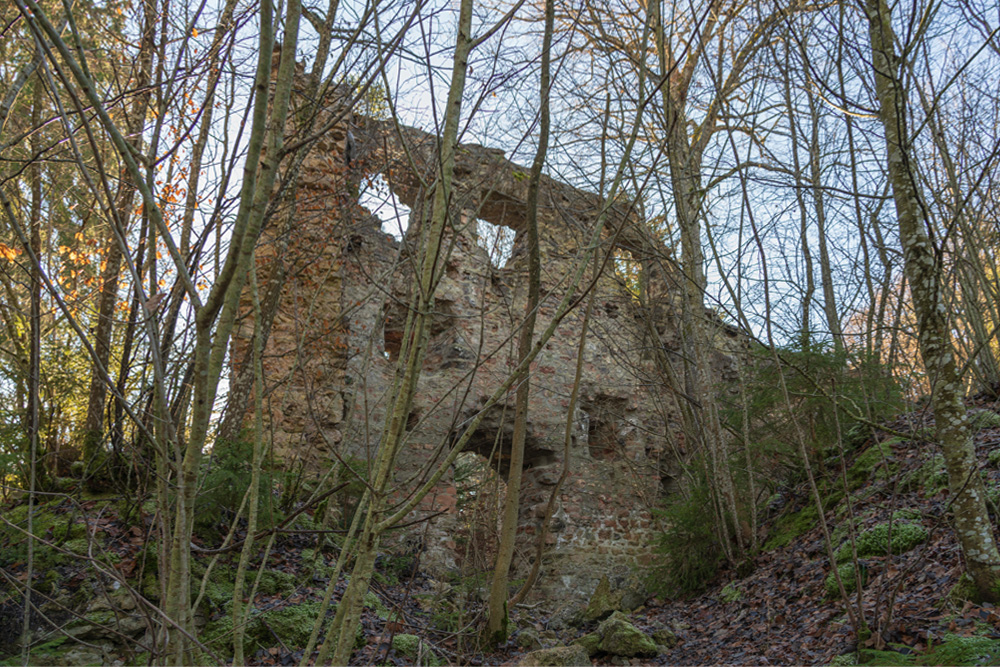 Burg Boll (Neu-Tannegg, Neutannegg) im Landkreis Waldshut