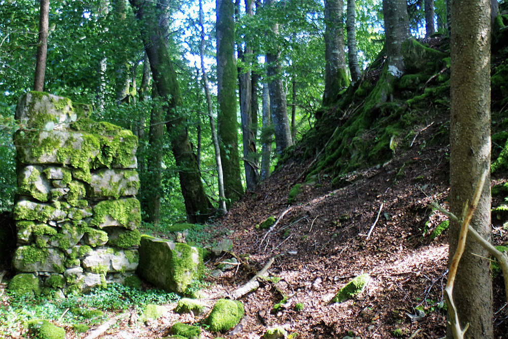 Burg Mandach (Burg Weiler) im Landkreis Waldshut