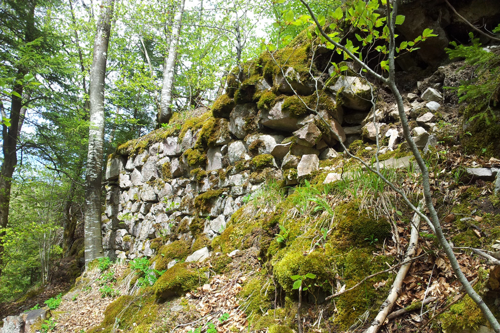 Burg Tiefenstein im Landkreis Waldshut