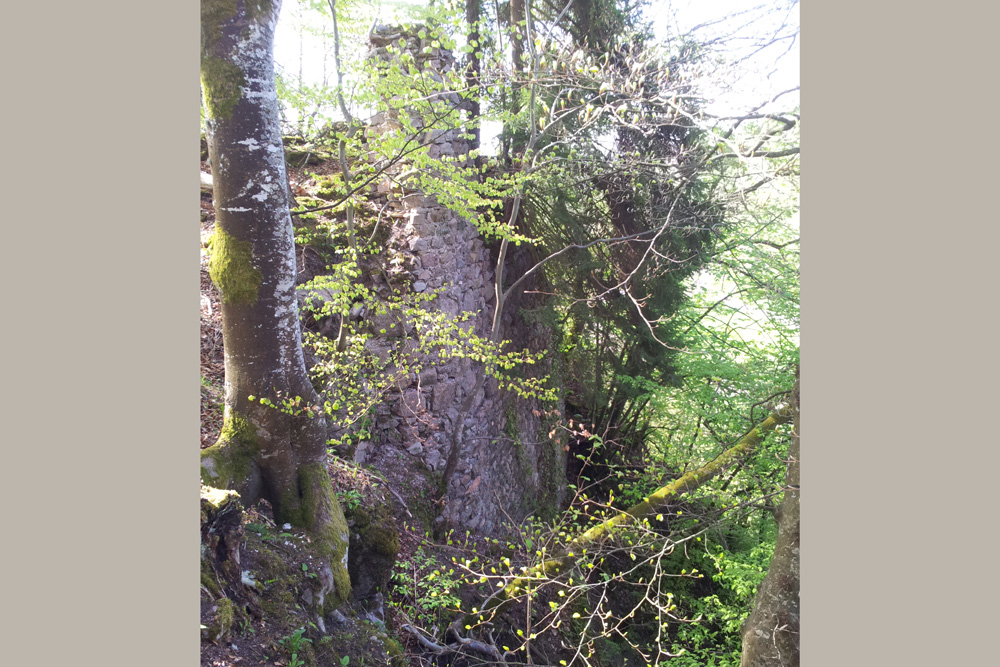 Burgruine Gutenburg (Hochrhein) (Gutenberg) im Landkreis Waldshut