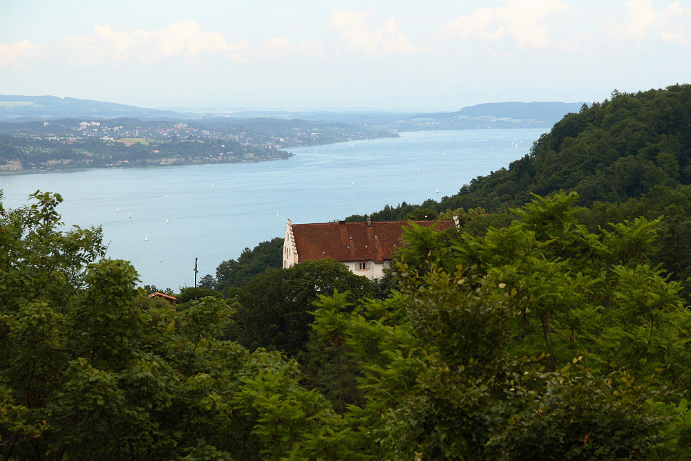 Burg Frauenberg (Bodman) (Schloss Frauenberg) im Landkreis Konstanz