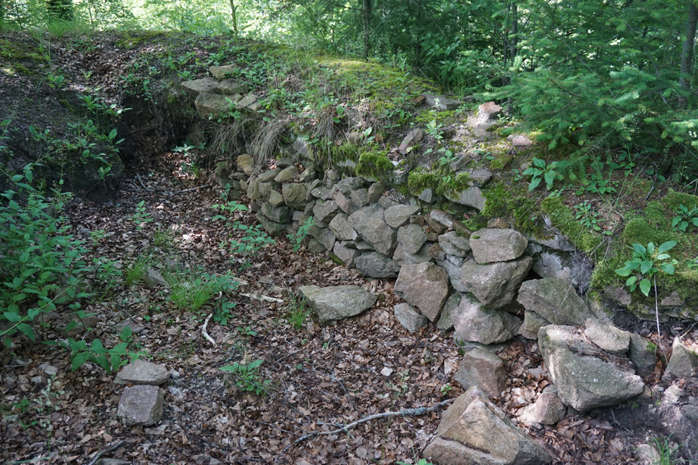 Burgruine Burgholz (Neuenstein, Steinegg, Burghölzle) im Landkreis Lörrach