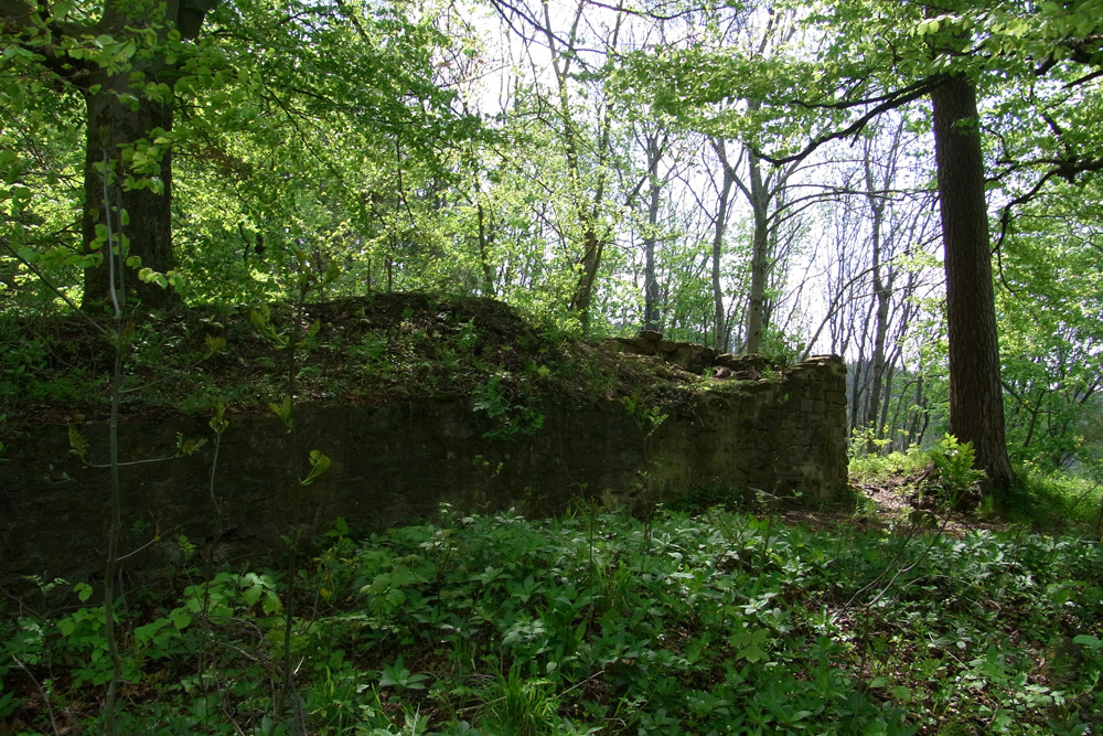 Ruine Ror (Bisinger Schlössle) im Zollernalbkreis