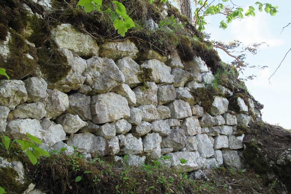 Burg Altwildenstein (Vorderwildenstein) im Landkreis Sigmaringen