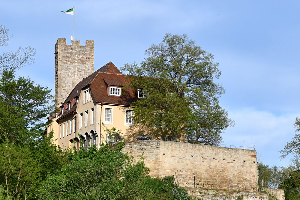 Wasserburg Lauffen (Lauffen am Neckar) (Unteres Schloss, Grafenburg) im Landkreis Heilbronn