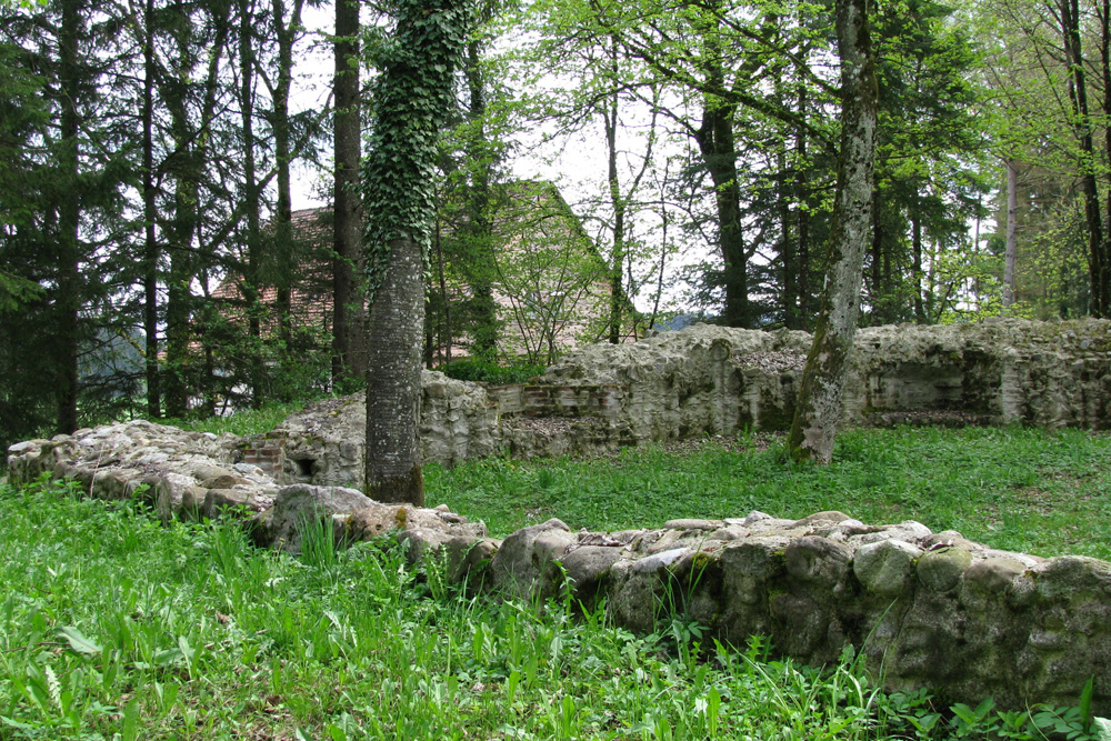 Ruine Ratzenried (Alt-Ratzenried, Oberes Schloss) im Landkreis Ravensburg