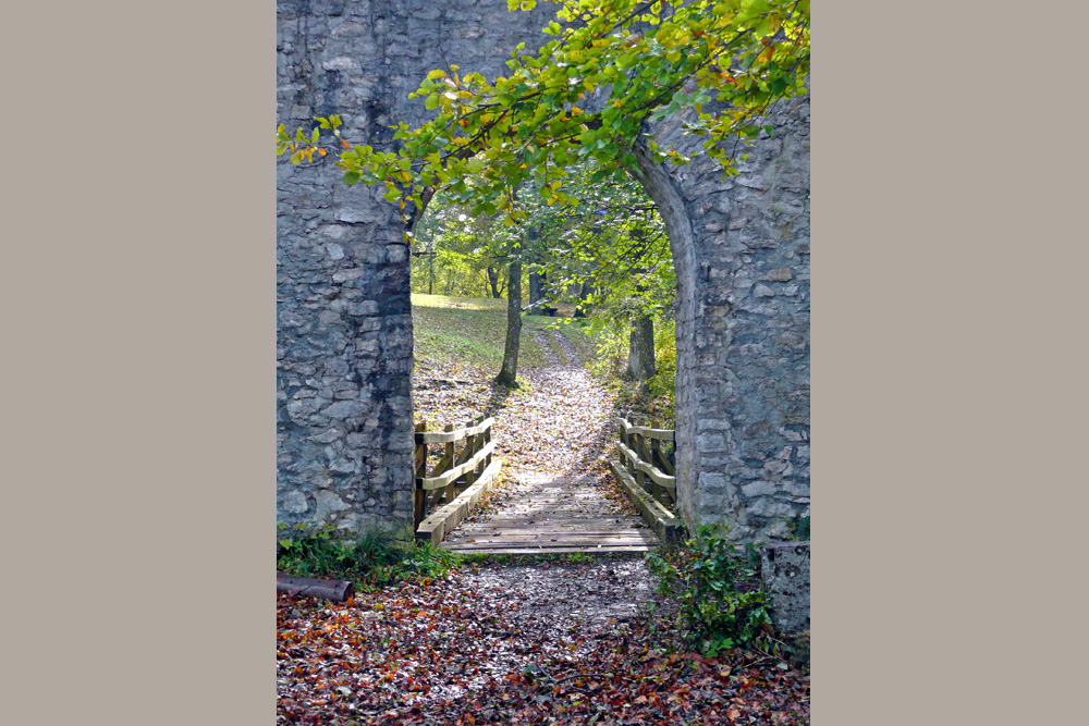 Ruine Diepoldsburg (Obere Diepoldsburg, Untere Diepoldsburg, Burg Rauber) im Landkreis Esslingen