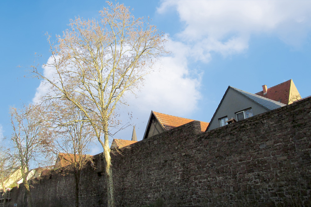 Stadtbefestigung Ettlingen im Landkreis Karlsruhe