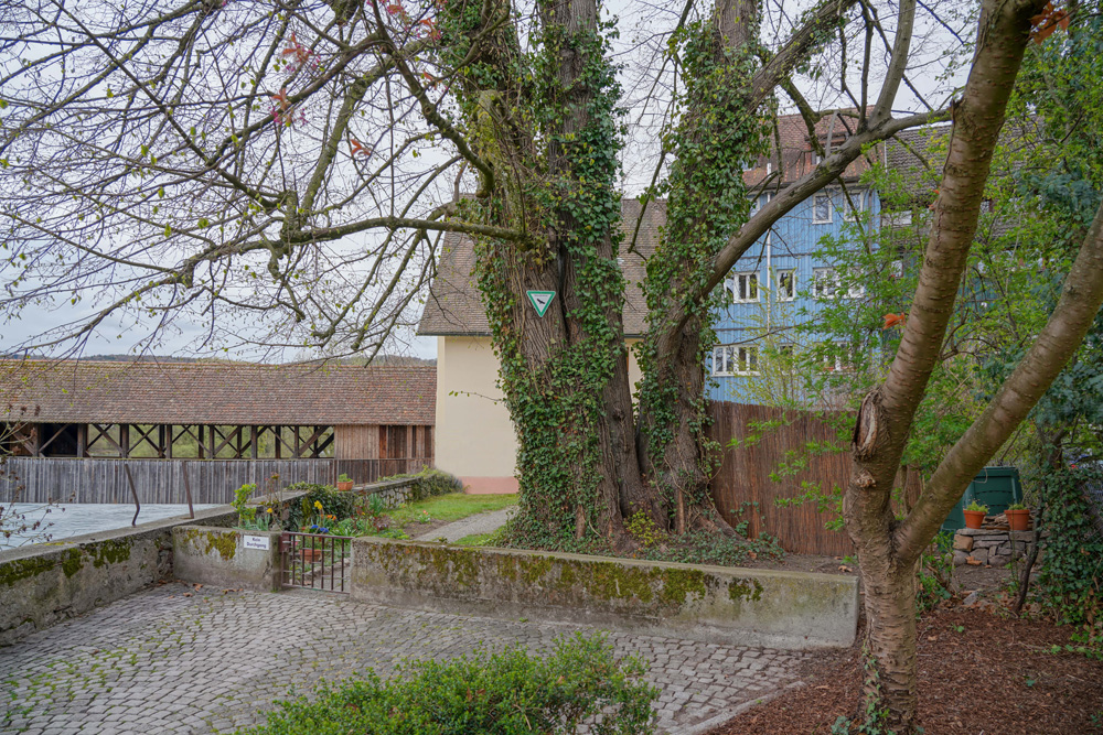 Stadtbefestigung Säckingen im Landkreis Waldshut