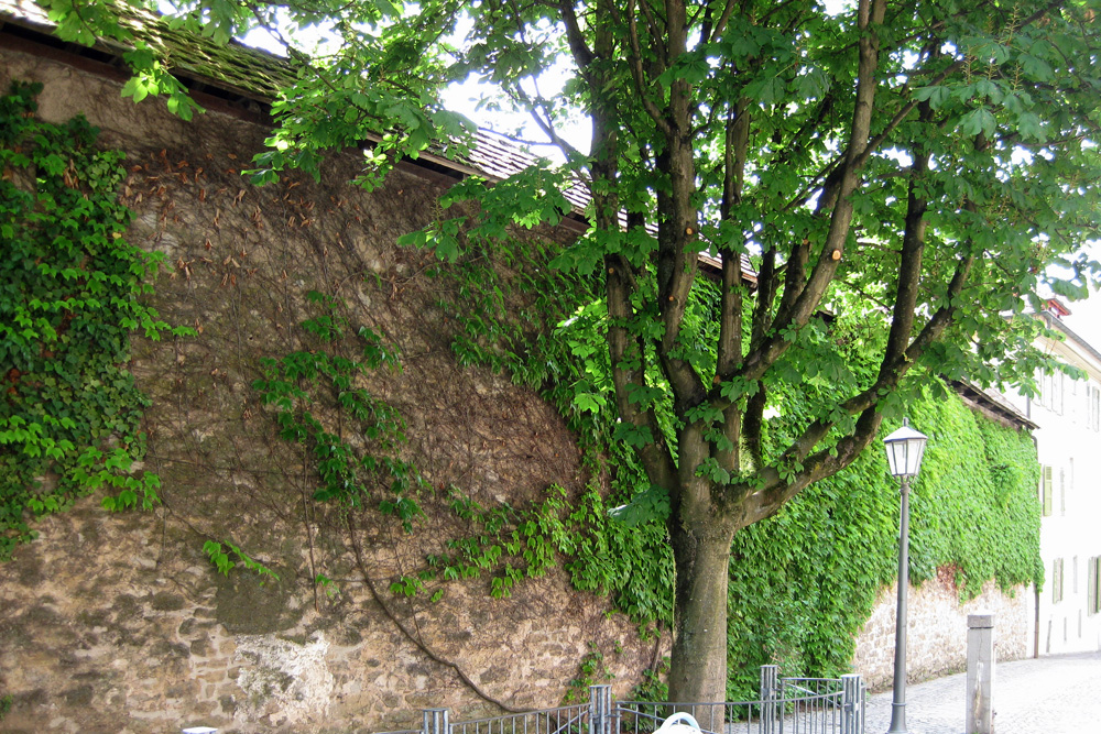 Stadtbefestigung Bietigheim im Landkreis Ludwigsburg
