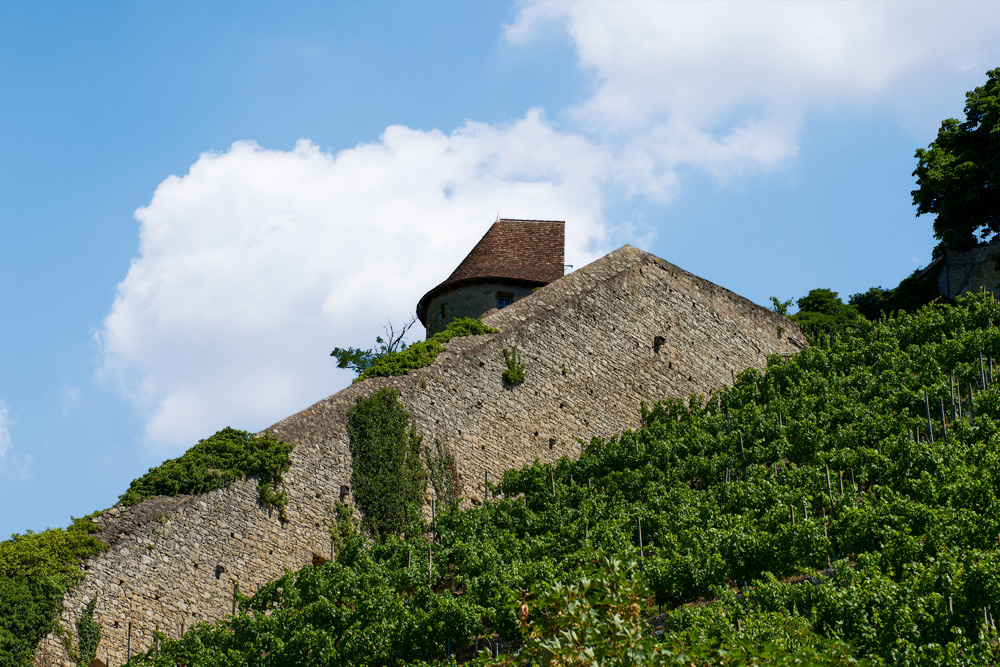 Stadtbefestigung Vaihingen (an der Enz) im Landkreis Ludwigsburg