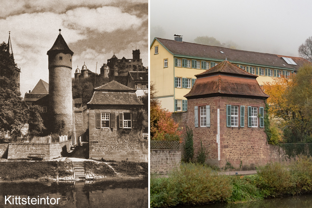 Stadtbefestigung Wertheim im Main-Tauber-Kreis