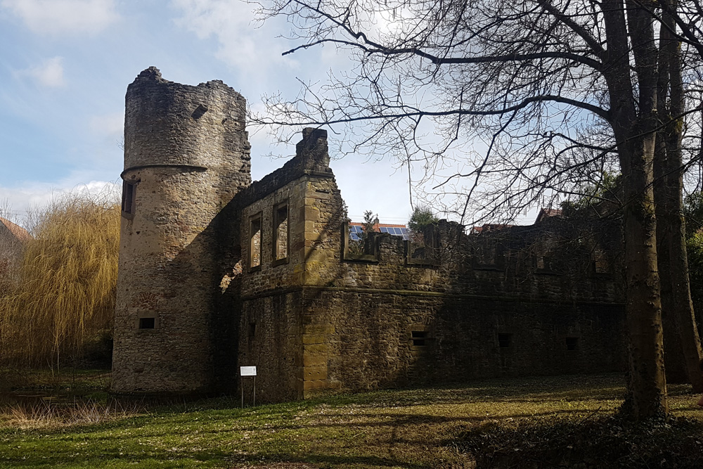 Burg und Schloss Daisbach im Rhein-Neckar-Kreis