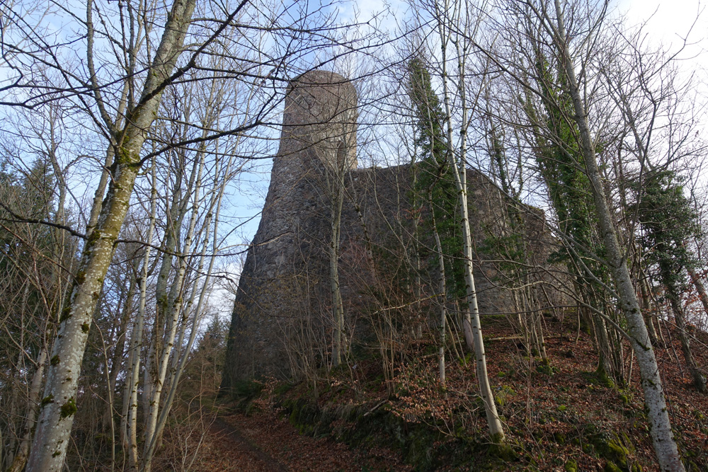 Ruine Bärenfels (Berenfels, Berenvels, Steinegg) im Landkreis Waldshut