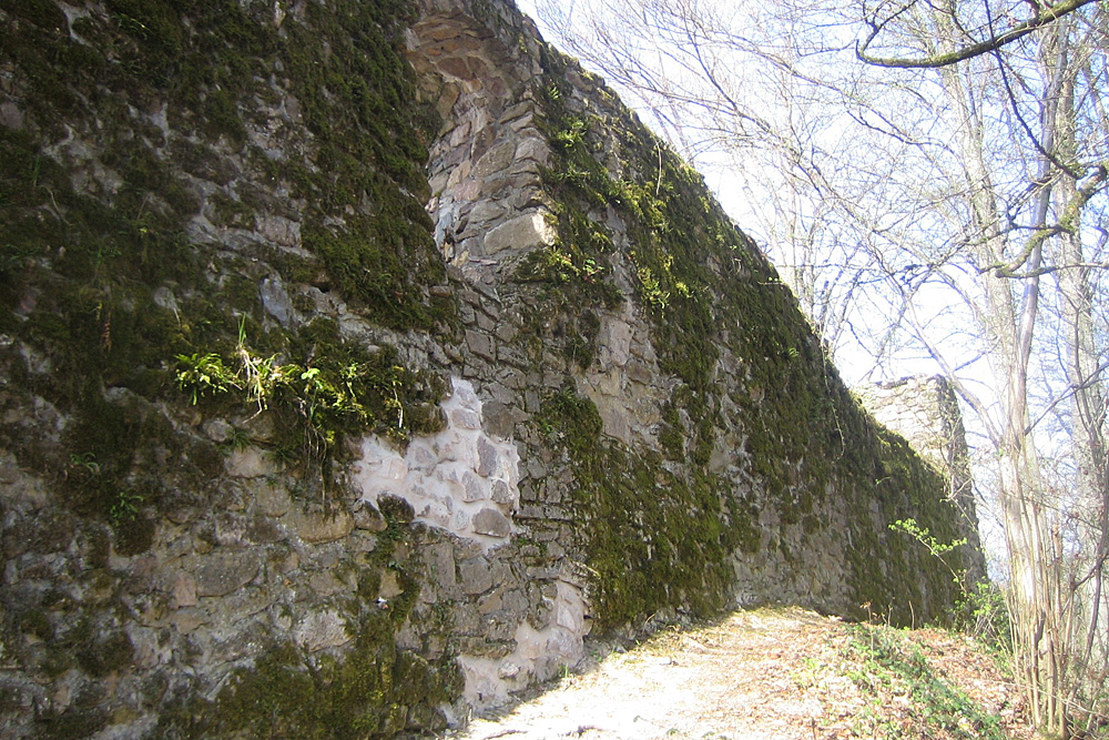 Ruine Werrach (Wehr, „Schlössle“) im Landkreis Waldshut