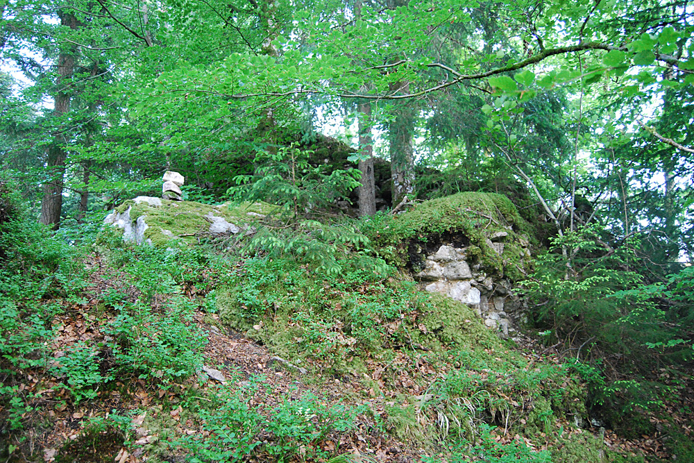 Burg Iburg (Görwihl) (Riburg, Rihburg) im Landkreis Waldshut